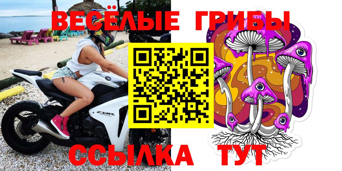 Протвино  Галлюциногенные грибы MAGIC MUSHROOMS  Вход с VPN  Псилоцибиновые грибы GOLDEN TEACHER 