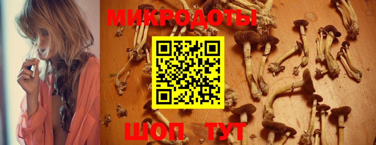 Псилоцибиновые грибы прущие грибы Протвино